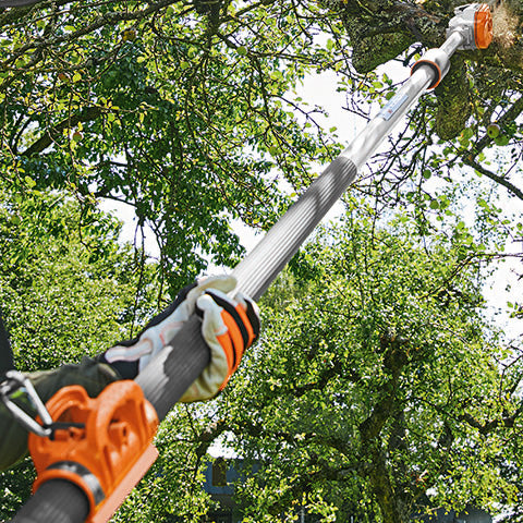 Pruner pole - Battery - Mega Hire